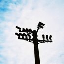 대서행정사 이미지