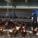 최고축산 이미지