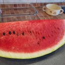 두아파크 이미지