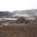 참숯나라 이미지