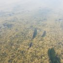 성내5교 이미지