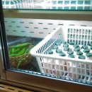 국민갈비 이미지