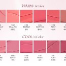 무지개잉크 | 슈크림틴트?! 무지개맨션 뮤티드 블러 틴트 new 컬러 '네스트' 발색 후기