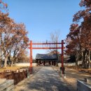 큰집추어탕 고등점 | 단풍낙엽🍂가을 안녕│평화동 '큰집 추어탕'│깔끔하고 부드러운 추어탕 맛집│임실 옥정호 '카페 미텐발트'