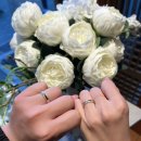 리뷰창고 | 비에브주얼리 웨딩밴드 소호링 구매 후기 🩵💍🤍