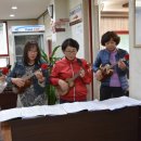 우쿠렐라 이미지