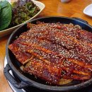 망경장어 이미지