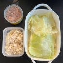 [3주만에 -5.5kg 감량중] 강남 신사 비만클리닉 하프컷 복부지방분해주사 부작용 없는 후기