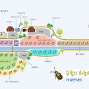 금물산하늘소캠프 이미지