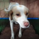 빛가람 주유소 이미지