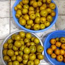 원산농장 이미지