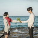 도깨비 뉴스엔