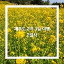 2박 3일 제주도 봄 여행-2일차