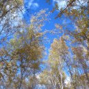 밥스웨이 이미지