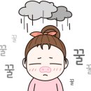 캘리그라피 (주간) 이미지