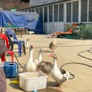 수암농장1 이미지