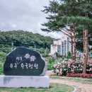 수국도 티스토리