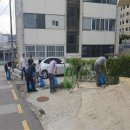 조암시장 이미지