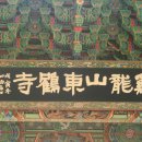 동학사1·2로 이미지