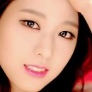 다음컴 이미지