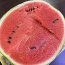 송원농원 | 아산맛집 여름나기 몸보신 엄마생신 겸 가족들건강챙기기 송원흑염소 추천드립니다