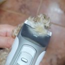 반려동물 셀프미용 | 강아지 바리깡 추천 바론 프로바리깡으로 반려동물 셀프 미용 끝판왕 가정/샵 겸용 솔직 후기