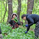 산청농산물 - 산청군 동의보감로4번길 1 | 산청농산물