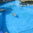 국가정원(서문) 이미지