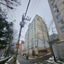 강남-190 이미지