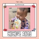 베베쿡 체험 후기 ❤️