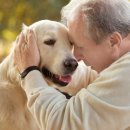 논현동물병원 이미지