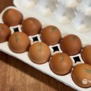 섬진축산 이미지