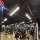 무지개소정 이미지