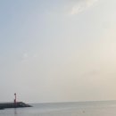 평대하루 이미지