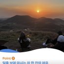 다섯마리 하우스 이미지