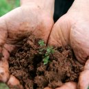 금성목장 이미지