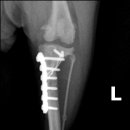 구리동물병원 이미지