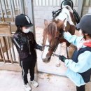 웅담초등학교 이미지