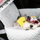 케이모찌