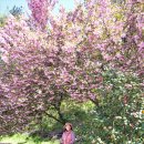 늘푸른전당 공연장 이미지