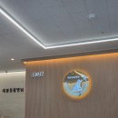 효천동물병원 | 광주 효천지구 새봄동물병원 특수동물병원 <앵무새,거북이,햄스터 진료>