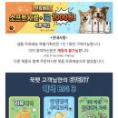 에너지소프트 | 강아지 소프트 사료 추천 | 꾹펫 에너지케어 소프트 사료 후기