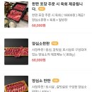 양심소 이미지