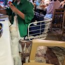 나무타는고양이 구경하는강아지 | Artium Cave Hotel 아티움 동굴 호텔 후기 - 모두투어 튀르키예 패키지 3~4일차