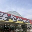 천사꽃화원 이미지