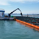 으뜸전복수산 이미지