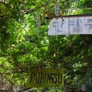 보성녹차사랑 이미지