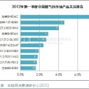 2012년 1분기 중국 가스레인지 시장 분석 이미지