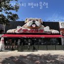 똥싼 강아지 | 칠곡 애견호텔 똥싼강아지 펫아울렛 사용자리뷰 영업시간 위치