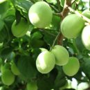 항아리매운탕 이미지